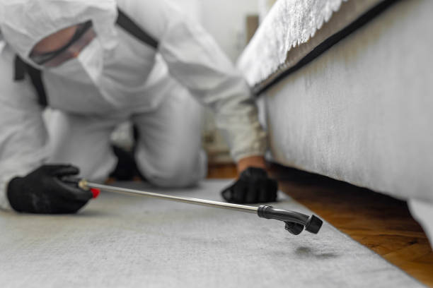 Professional Bed Bug Control technician working in Sioux City, IA