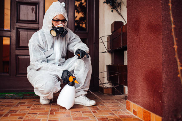 Reliable Bed Bug Control contractor in Sioux City, IA by Nex Pest Control
