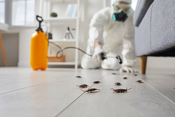 Trusted Fumigation Services service in Sioux City, IA - Nex Pest Control