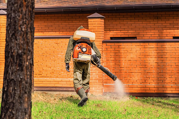 Trusted Termite Control service in Sioux City, IA - Nex Pest Control
